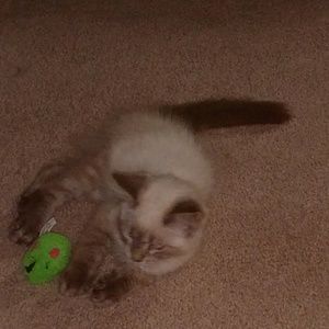 Meet your Posher, Karina